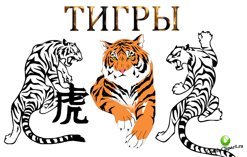 Тигры в векторе