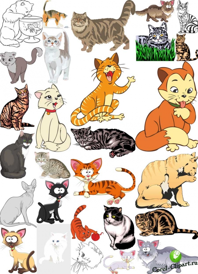 Кошки - 28 векторных изображений