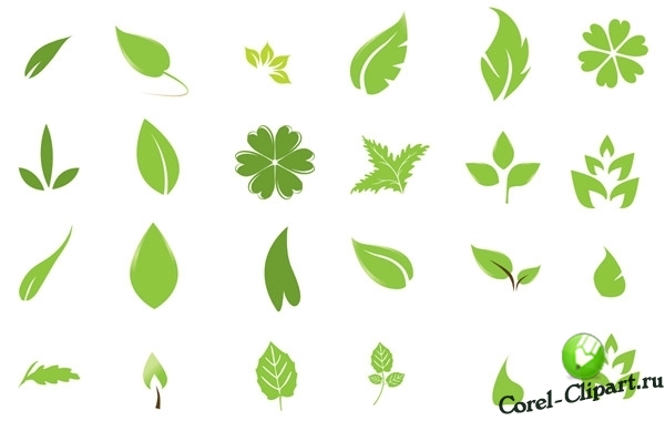 Зеленые листья - символ экологии в векторе